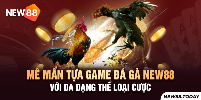 Hồi hộp từng giây phút cùng trò chơi đá gà New 88